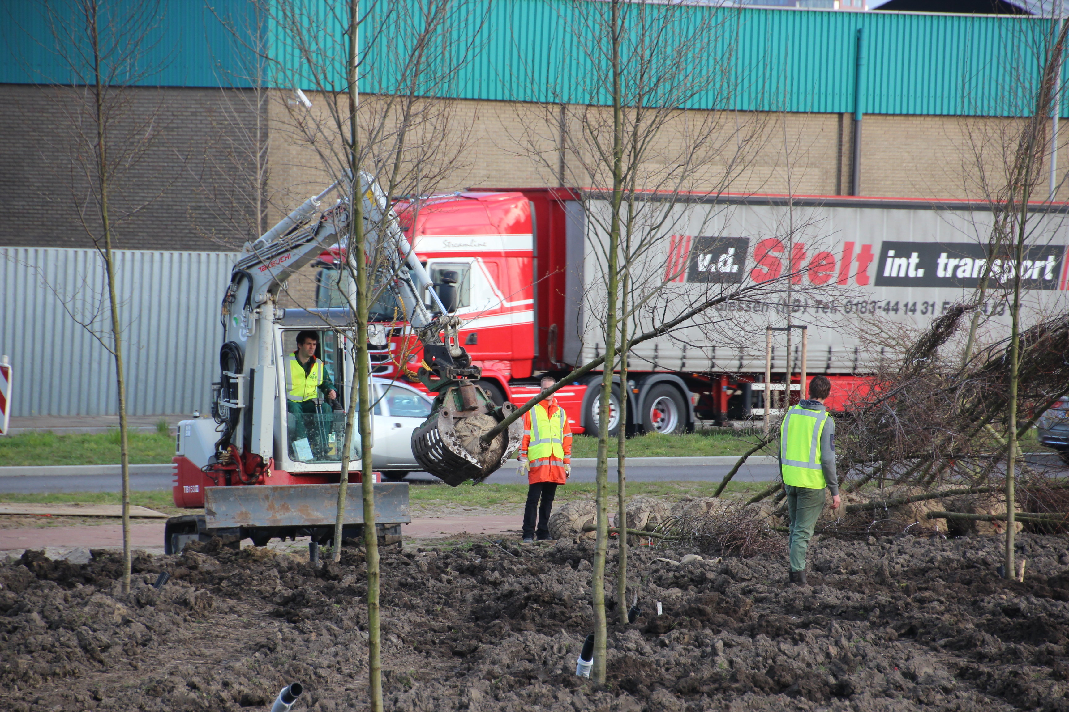 Bomen planten Van Leeuwenterrein Waalhaven Oostzijde